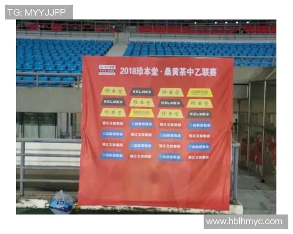 深圳排球队个人能力分析与联赛表现评估