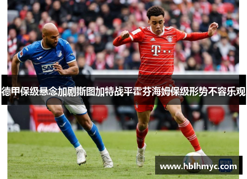 德甲保级悬念加剧斯图加特战平霍芬海姆保级形势不容乐观